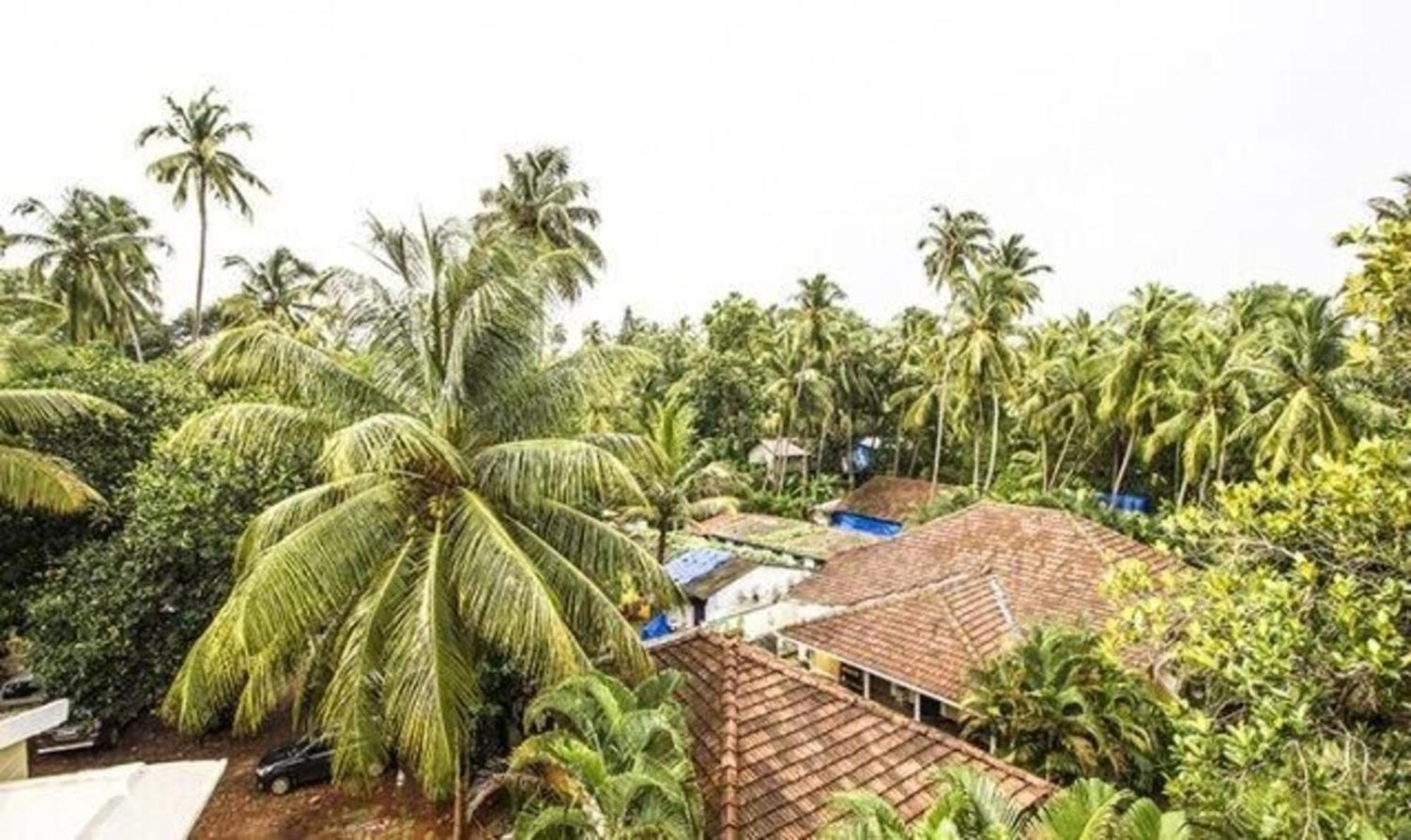 Fabexpress Orchid The Sky Hotel Calangute Exterior foto